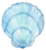 blue shell